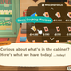 The cabinet in Nook's Cranny now offers a basic cooking recipes set.
